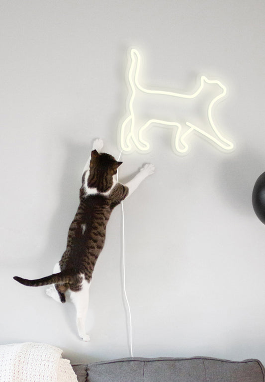 "Cat" Neon Sign